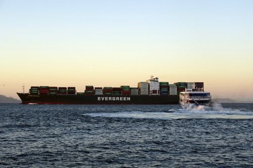 cargo liner ship transportation