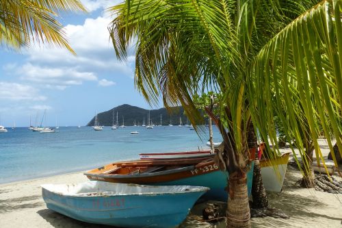 caribbean boats palm