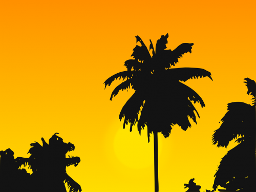 caribbean palm tree palms