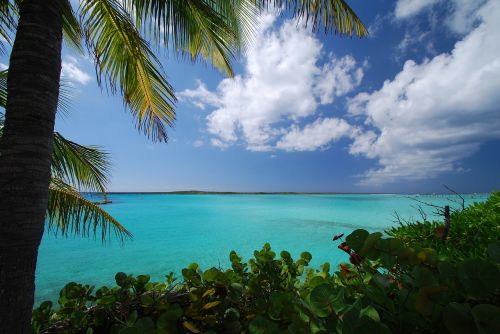 caribbean beach blue water