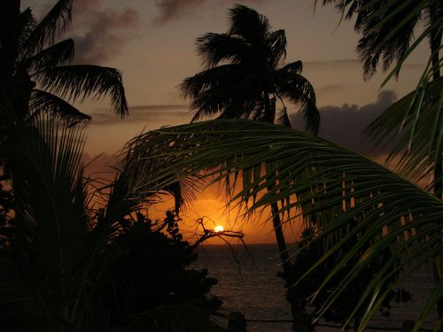 caribbean sunset summer
