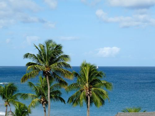 caribbean vacation holiday