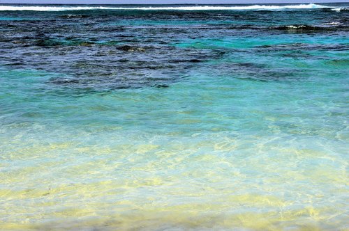 caribbean  water  sea