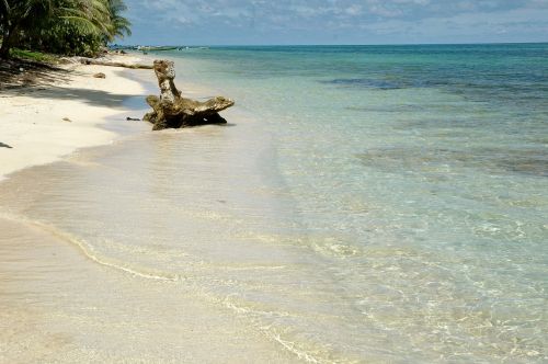 caribbean beach sand