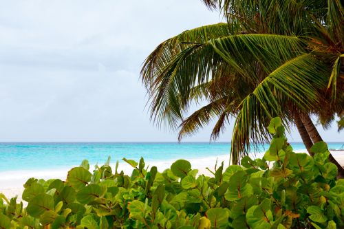 Caribbean Beach