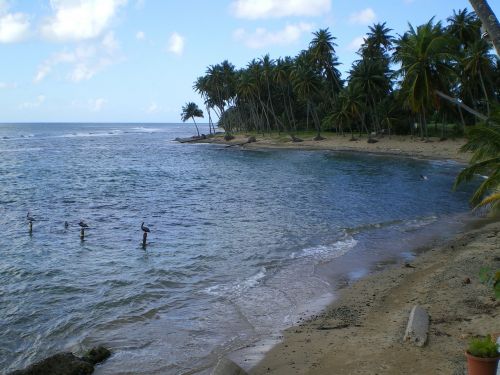 caribbean sea puerto rico beach