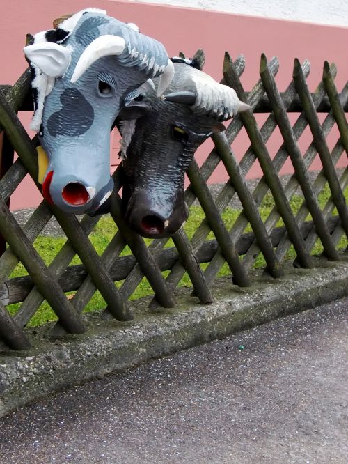 carnival costume mask