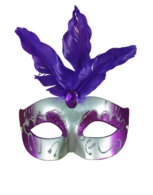 carnival fool-time mask