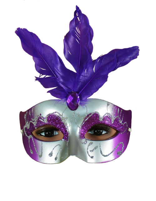 carnival fool-time mask