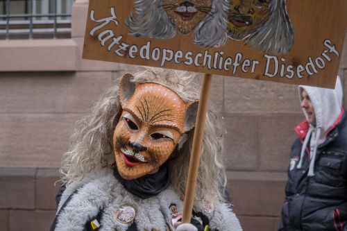 carnival fasnet colorful