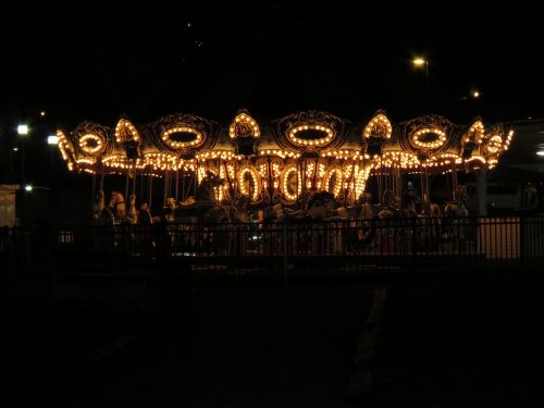carousel night light park