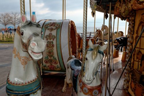 carousel old horses