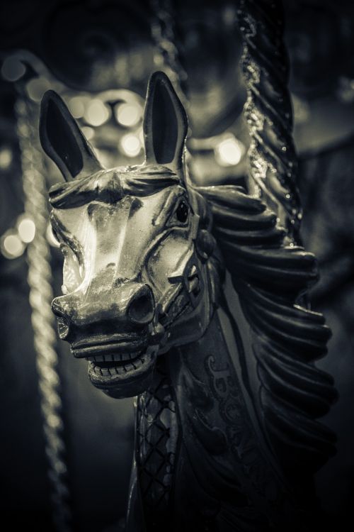 carousel horse creepy black and white