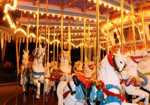 Carousel Horse Night