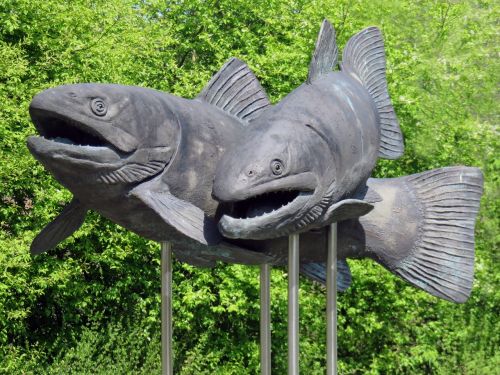 carp fish sculpture