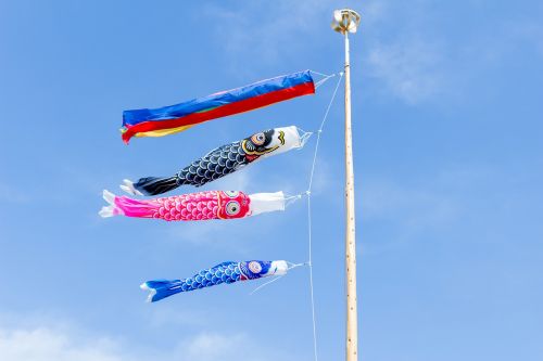 carp streamer may festival