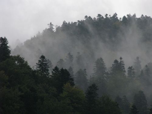 carpathian mountain winter landscape