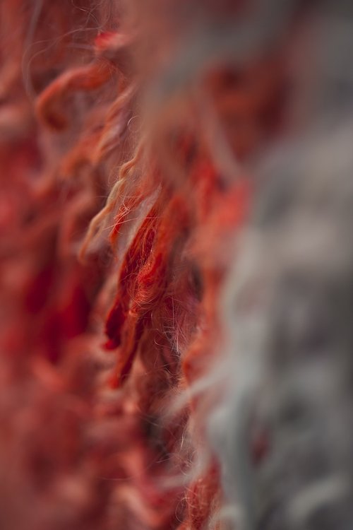 carpet  fabric  wool