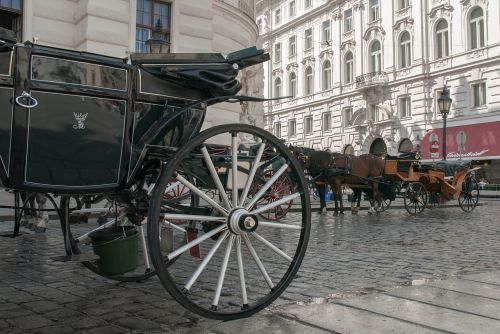 carriage horses wheel koca