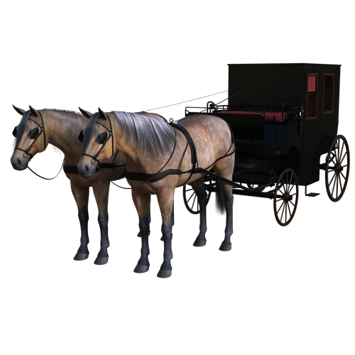 carriage  horse  drawn