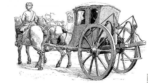 carriage vintage horse