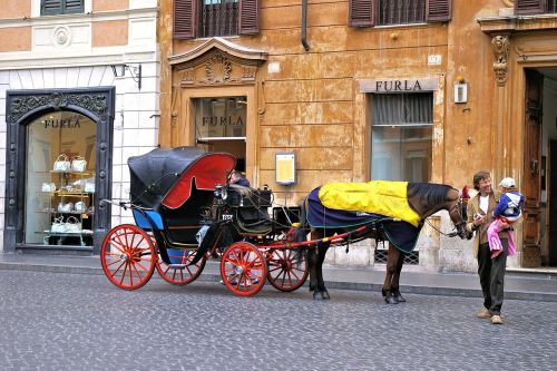 carriage horse man