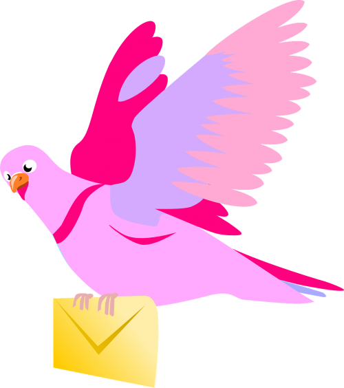 carrier pigeon letter pink