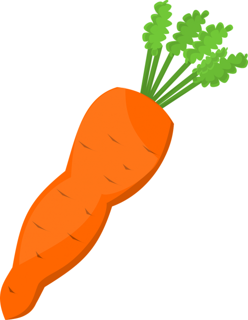 carrot food greens