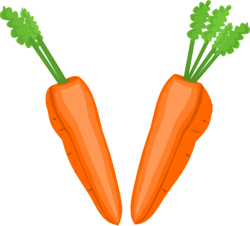 carrot cut greens