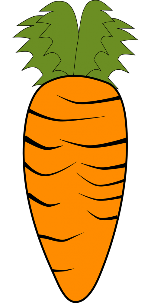 carrot vegetables orange