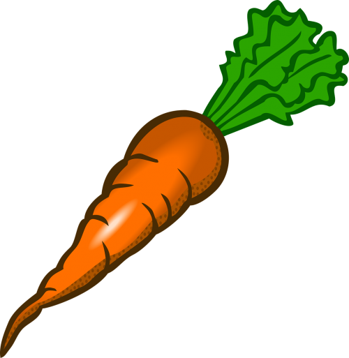 carrot vegetable food