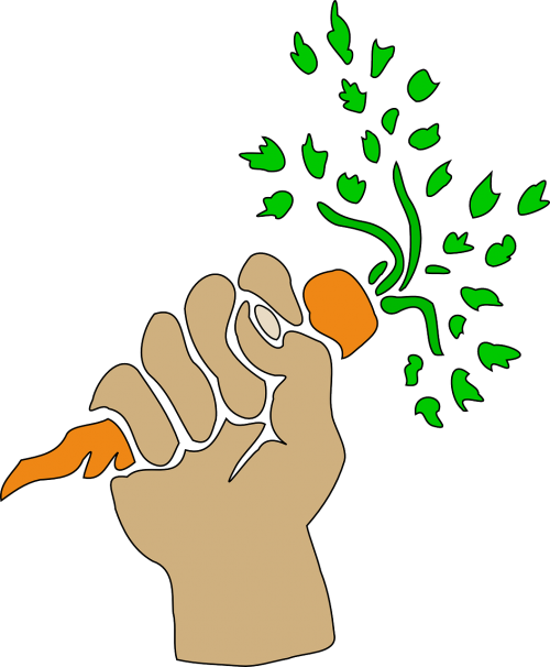 carrot hand plant