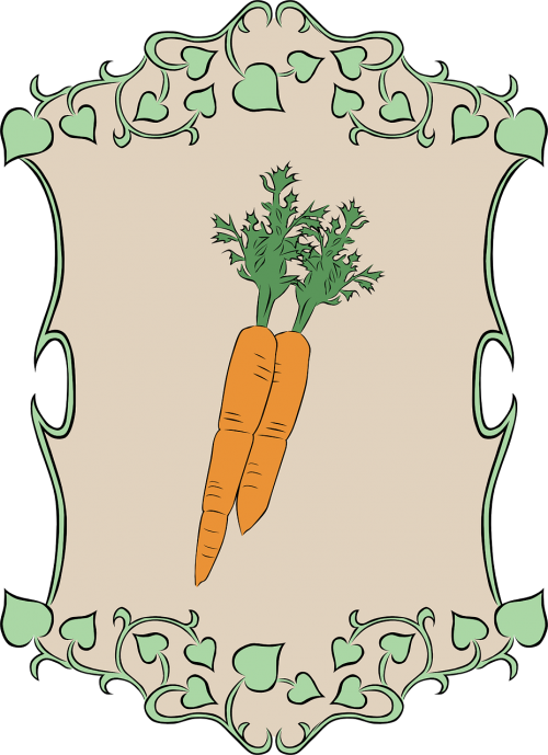 carrot garden vegetable