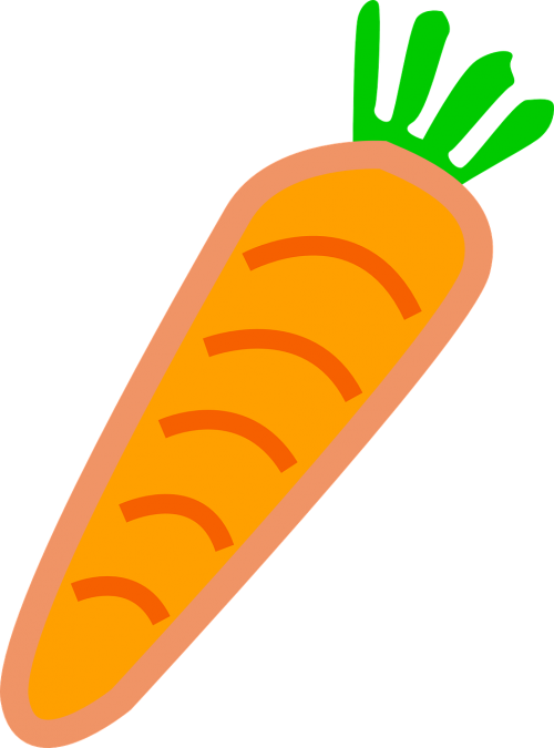 carrot vegetable orange