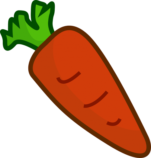 carrot vegetable plant