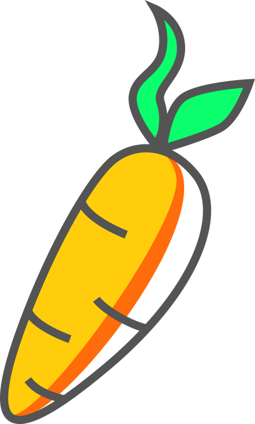 carrot icon plant
