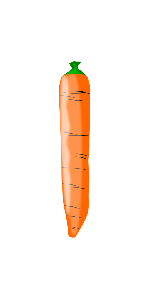carrot food fruit veggie