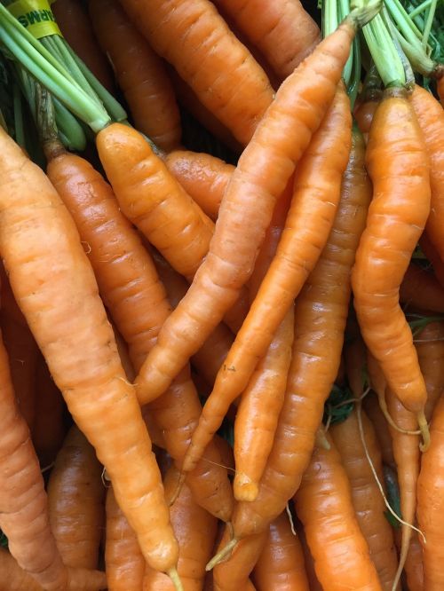 carrot food produce
