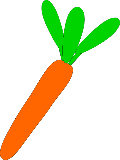 carrot vegetable vegetarian