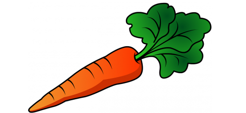 carrot vegetable cultivate