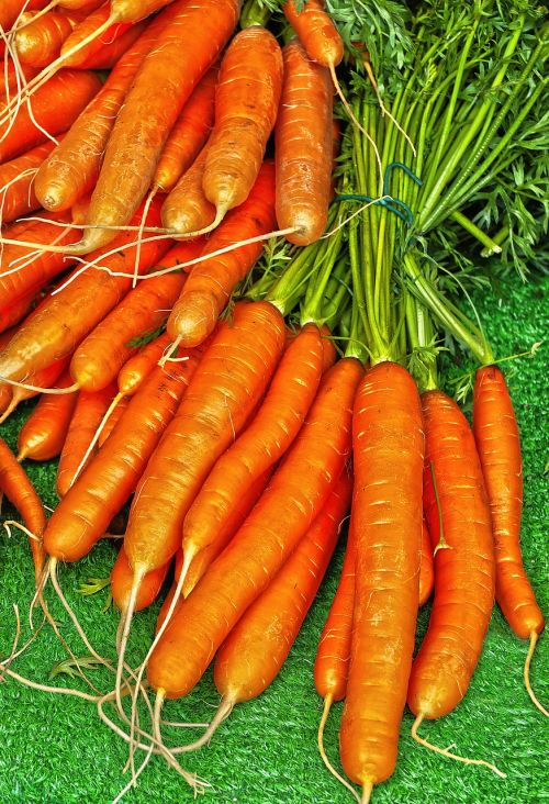 carrot yellow beet carrots
