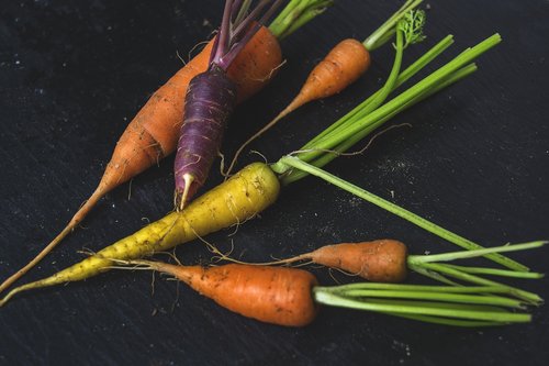 carrot  organic  food