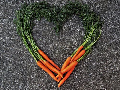 carrot  bio  fresh