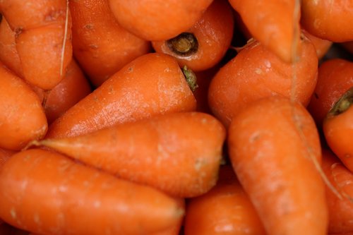 carrot  carrots  orange