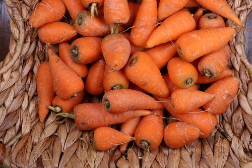 carrot  carrots  basket