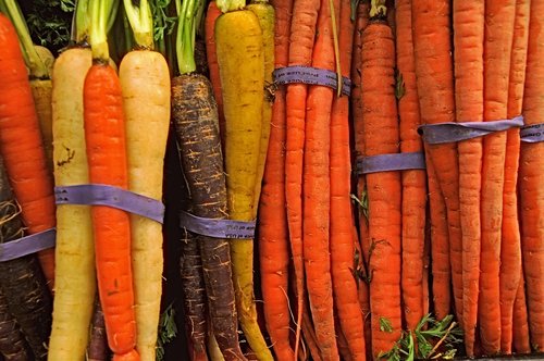 carrot  carrots  produce