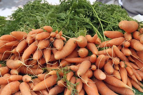carrot  farmers  market