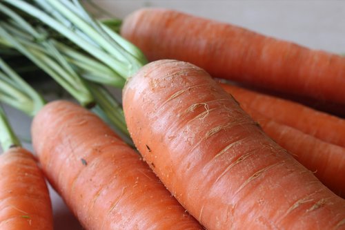 carrot  carrots  healthy