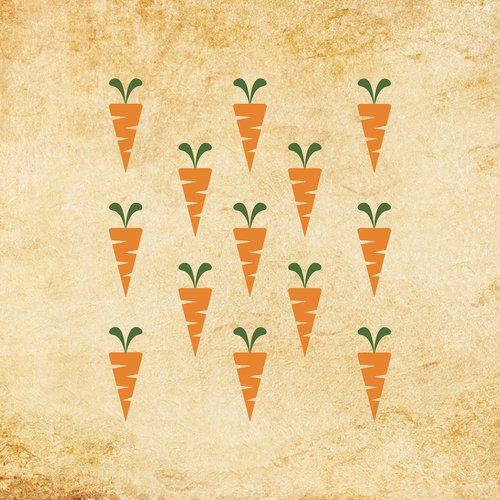 carrot  carrots  vintage