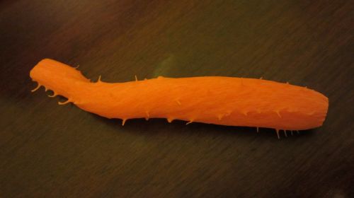 carrot vegetable orange